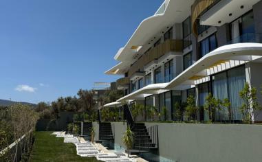 Shavi House