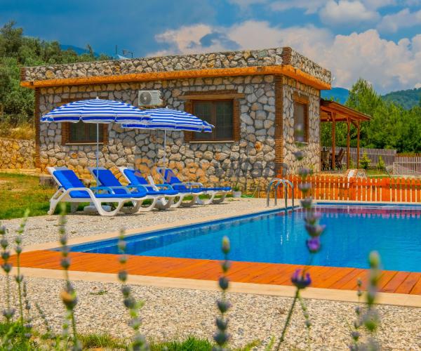 super-villam-villa-cedrus-7_655.jpeg
