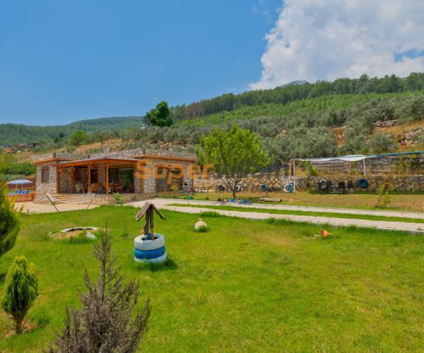 super-villam-villa-cedrus-9_344.jpeg