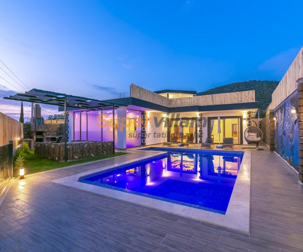 super-villam-villa-seftali-1_139.jpg