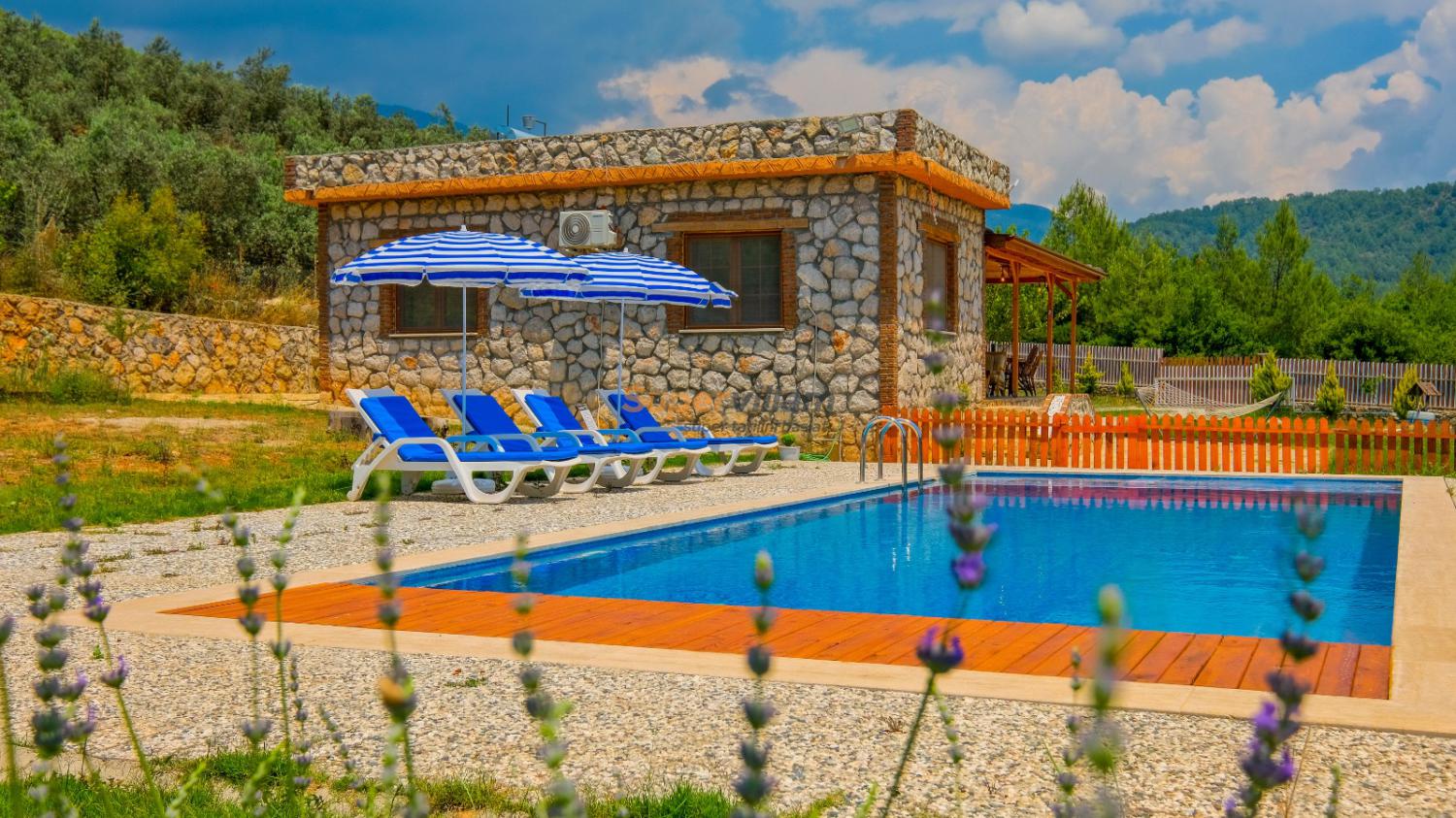 super-villam-villa-cedrus-7_655.jpeg