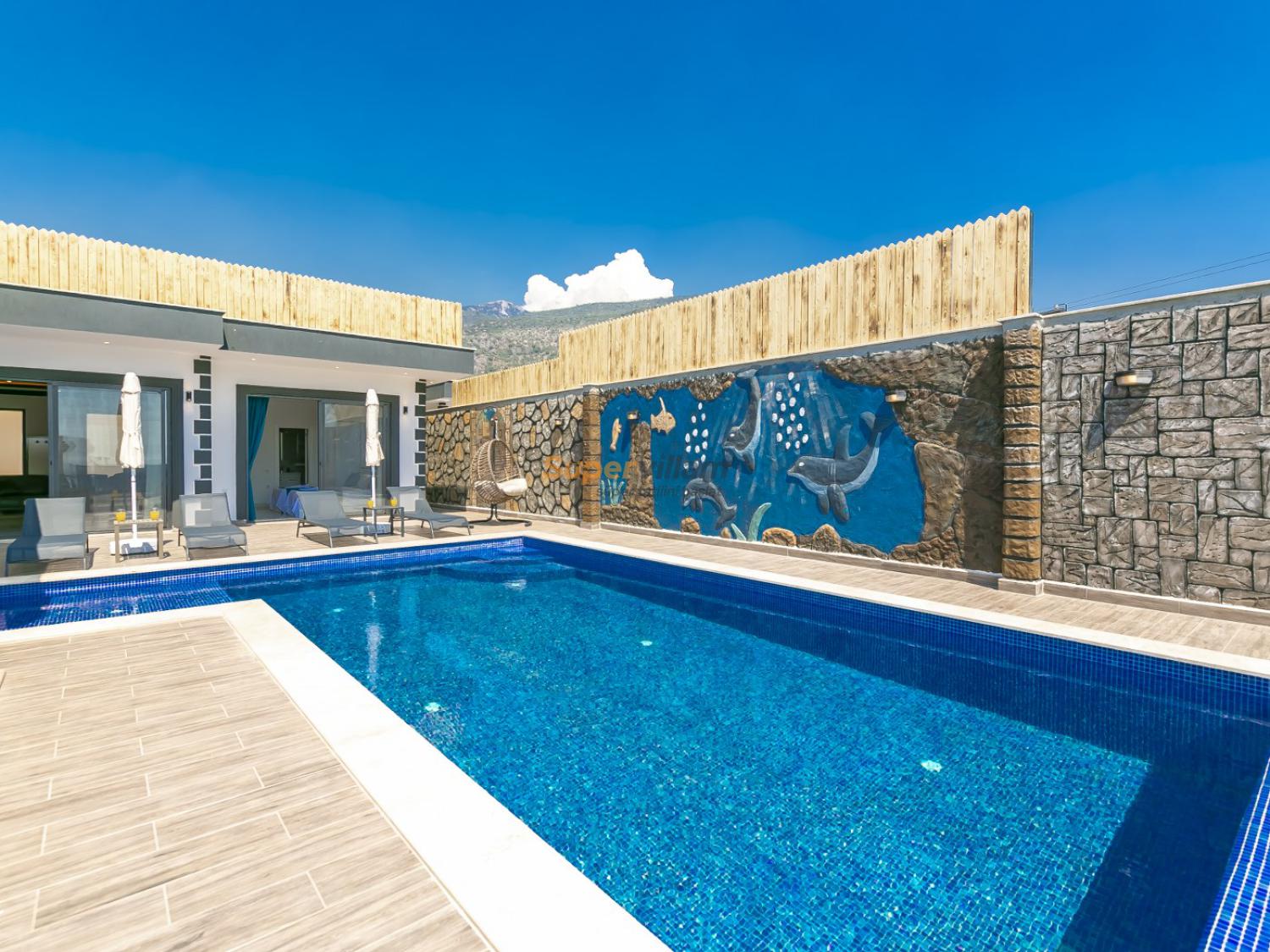 super-villam-villa-seftali-50_669.jpg