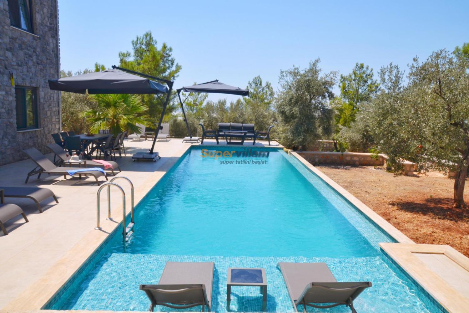 villa-olive-branch-super-villam-57_39.jpg