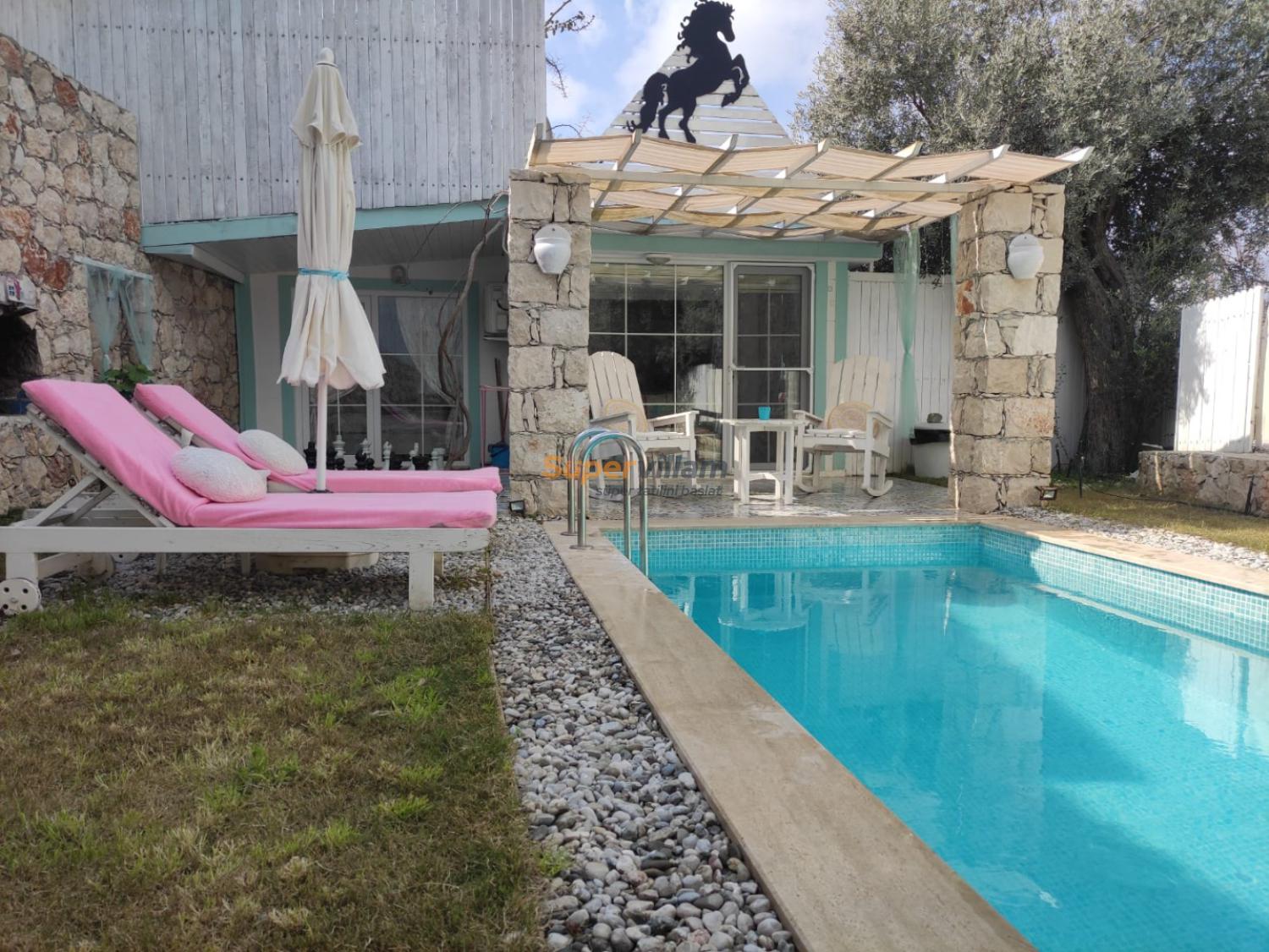 villa-pony-super-villam-8_691.jpeg